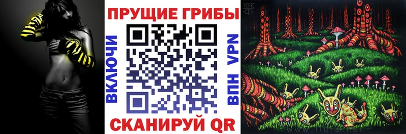 kraken   Дегтярск  Галлюциногенные грибы GOLDEN TEACHER 